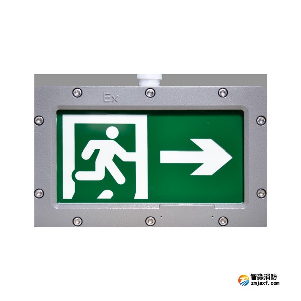 天津海灣HW-BLJC-1REI0.5W-VN852-R單面右向應(yīng)急疏散指示燈