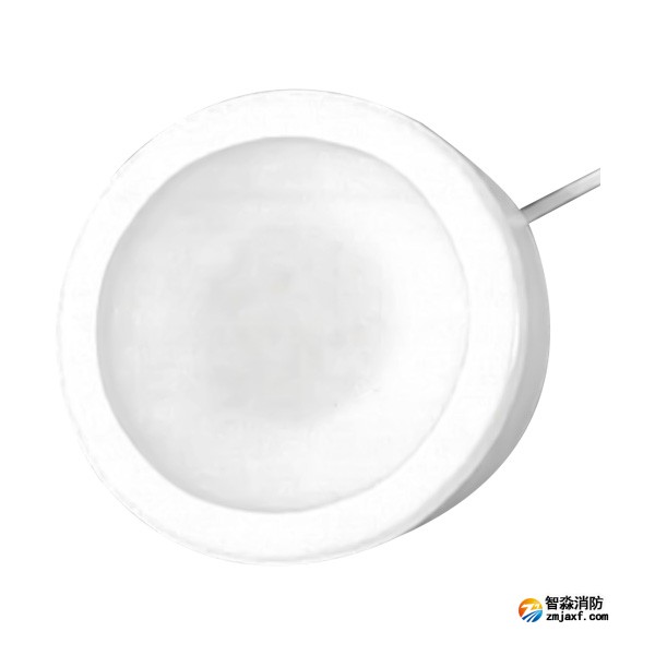 天津海灣HW-ZFJC-E6W-YN651C集中電源集中控制型消防應急照明燈具