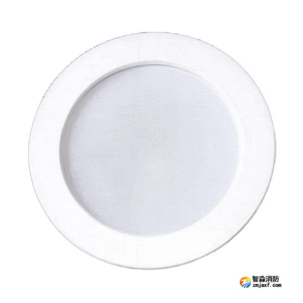 天津海灣SJ-ZFJC-E5W/ZQ5C集中電源集中控制型消防應急照明燈具 吸頂/壁掛