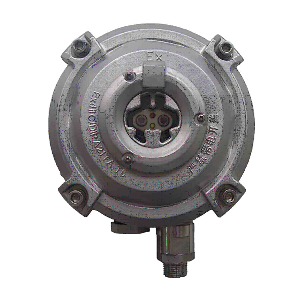 天津海灣D-9107R防爆點(diǎn)型紅外火焰探測(cè)器